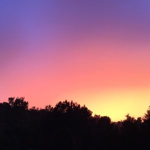 Meet your Posher, Sydney